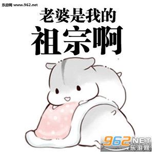 hamham��������ű������ͼ1