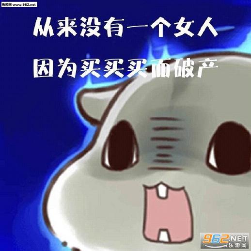 hamham����������������ͼ0