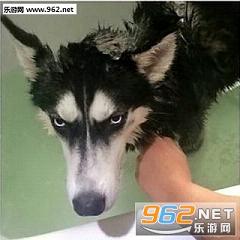��ʿ������������κ���������֢��ͼ4
