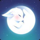 ��֮��stellar fox������