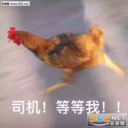 ������겻�ҿ�С���������ͼ0