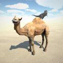 ɳ��ģ����������