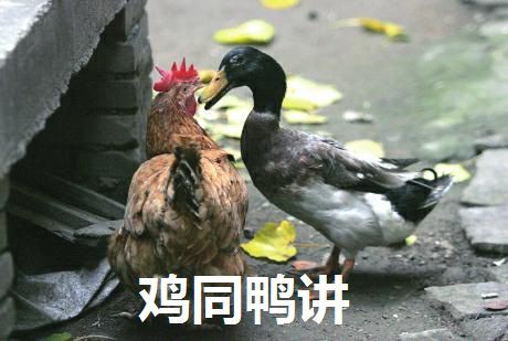 �����ĵ���������