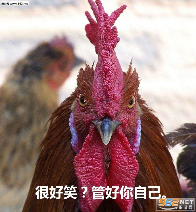 �����ĵ�����������ͼ0