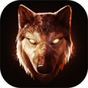 The Wolf(��Ⱥ��׿������)