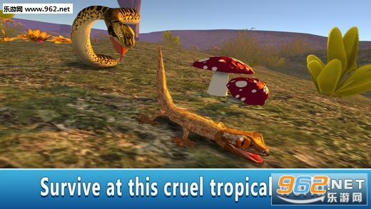����ģ����3D�ϵ۰氲׿���ͼ1