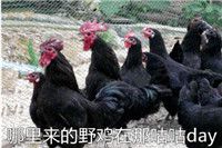 ���궷ͼר�ñ������ͼ0