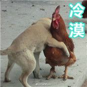 ��Ҳֻ���������ű����