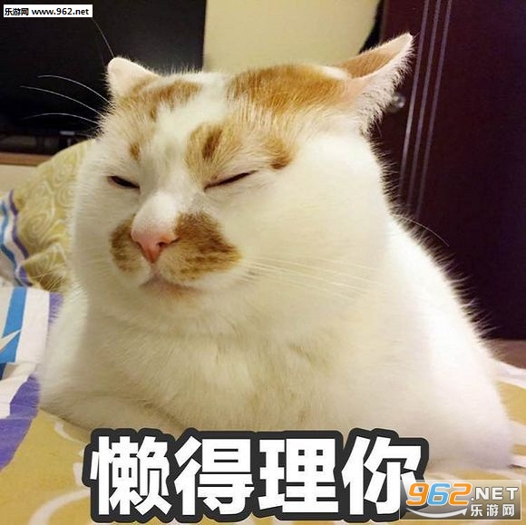 ����è¥¥gif��̬ͼ��ȫ������ˮӡ��ͼ2