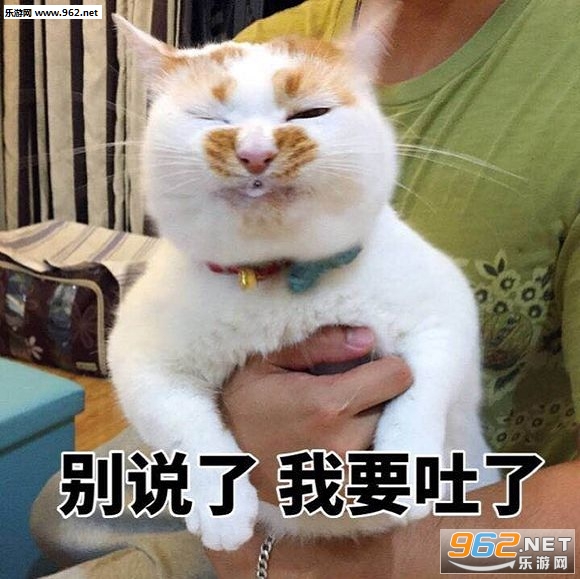 ����è¥¥gif��̬ͼ��ȫ������ˮӡ��ͼ3