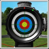 Crossbow Shooting deluxe(��������׿������)