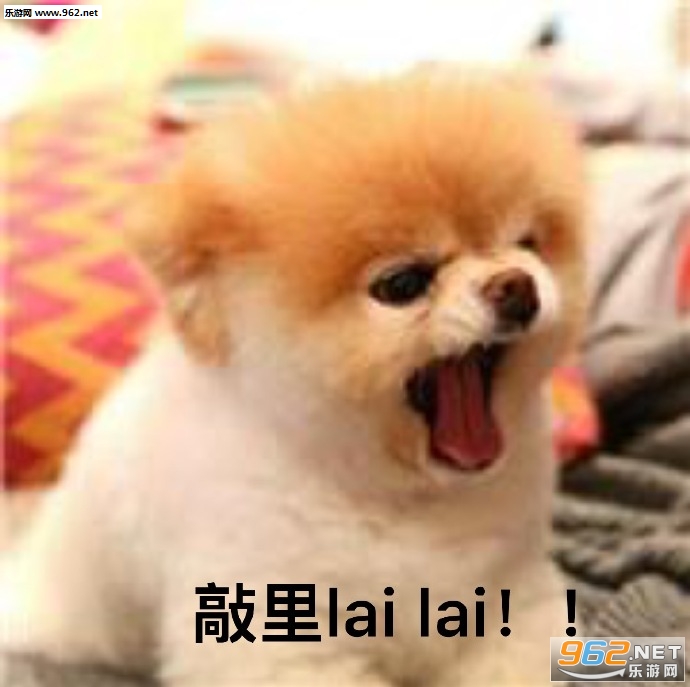 脸上笑哈哈心里敲里吗表情包截图1
