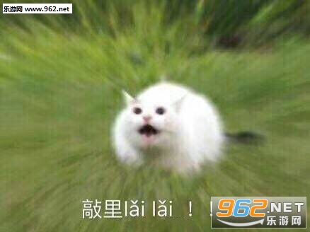 脸上笑哈哈心里敲里吗表情包截图3