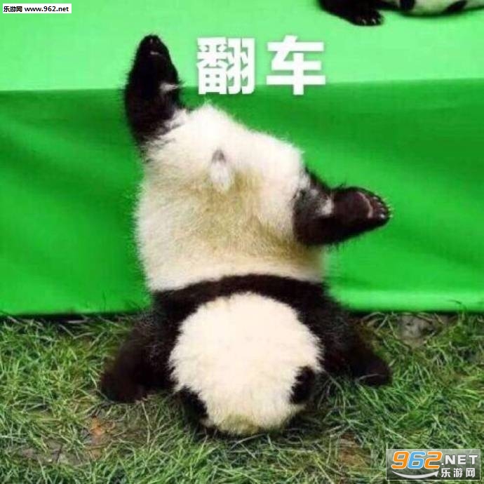 ����¹����͵�綯����������ͼƬ��ͼ3