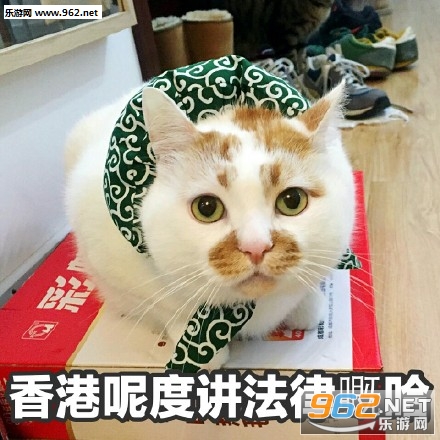 TVB����̨�ʴ��������������ͼ2