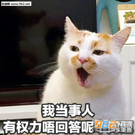 TVB����̨�ʴ��������������ͼ3