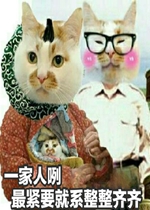 TVB����̨�ʴ������������
