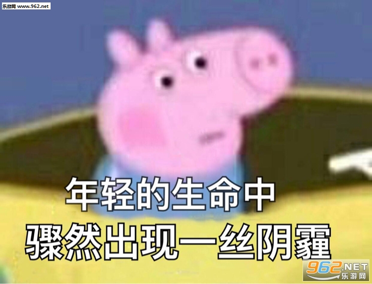 ����������Ż����������ͼ1