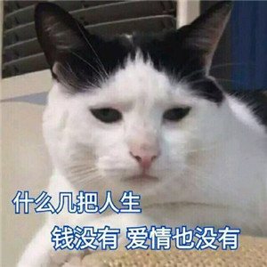 ʲô��������ǮҲû�а���Ҳû�б����