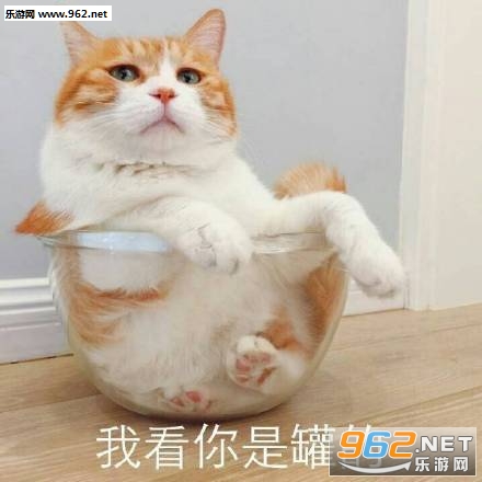 ����˵ֻҪ�ҺȵĹ����į����ʴ�����ұ������ͼ2