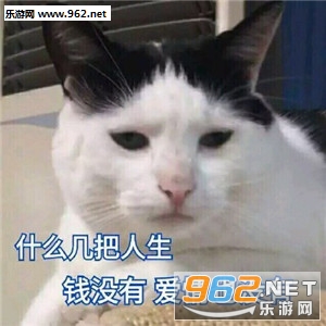 ʲô��������ǮҲû�а���Ҳû�б������ͼ0