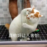 ���������˺��¹������������ͼ0