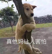 ���������˺��¹������������ͼ1