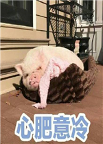 �ķ�������������