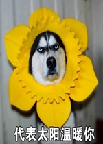 ����̫����ů���ʿ����ȱ����