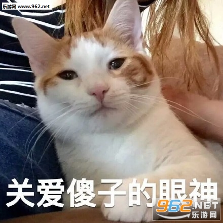 ����Ц��������mmp�������ͼ0