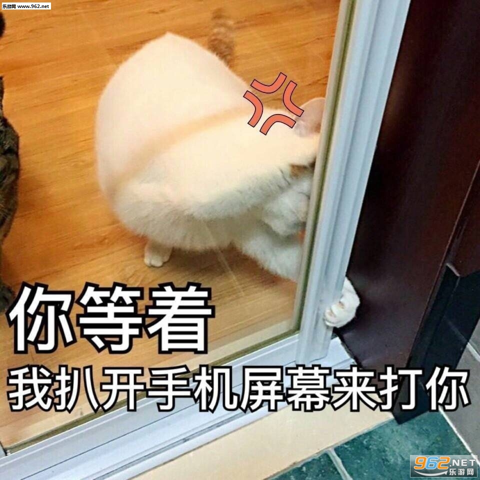 һ�������¥¥è�����ͼƬ��ͼ0