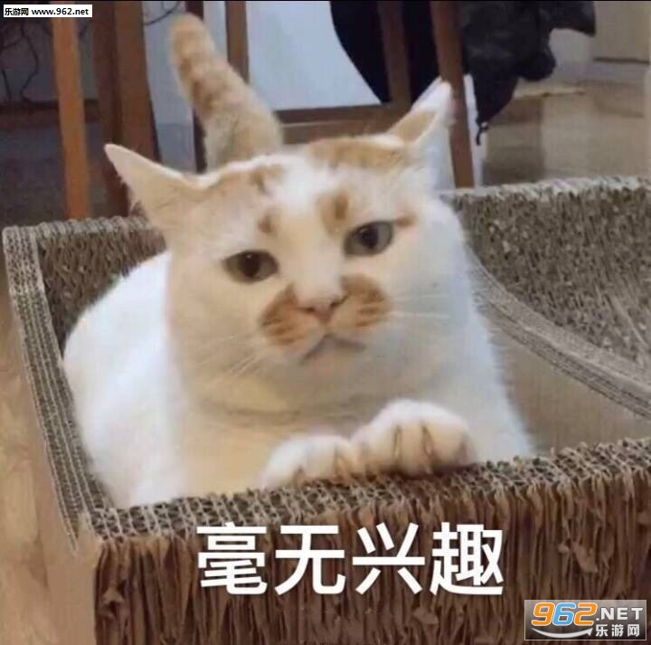һ�������¥¥è�����ͼƬ��ͼ4