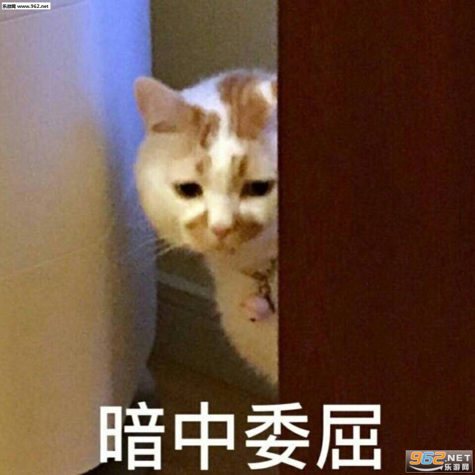 һ�������¥¥è�����ͼƬ��ͼ5