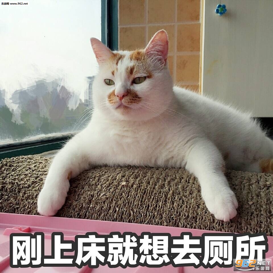 һ�������¥¥è�����ͼƬ��ͼ6