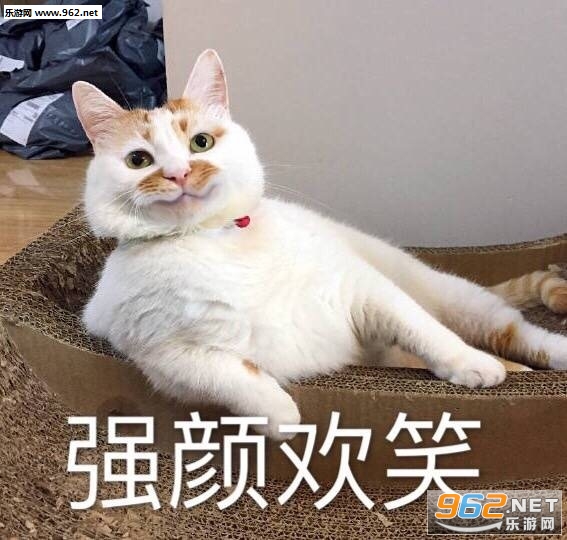 һ�������¥¥è�����ͼƬ��ͼ7