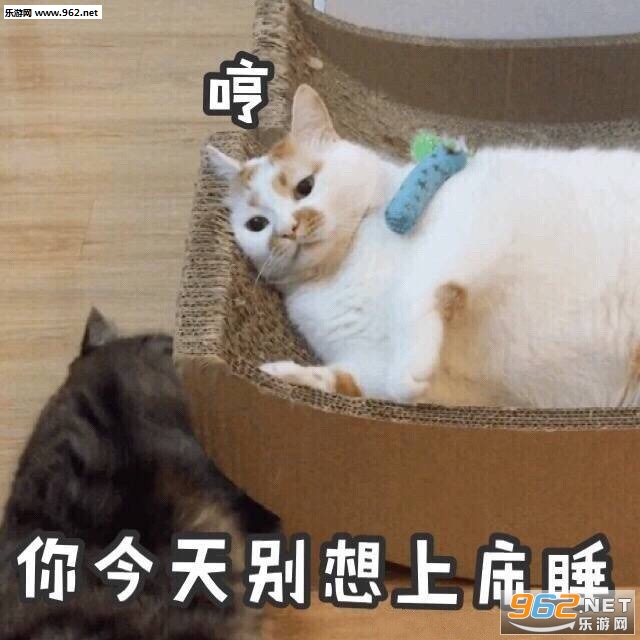 һ�������¥¥è�����ͼƬ��ͼ10