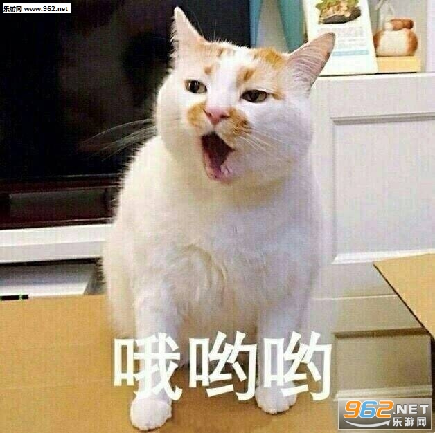 һ�������¥¥è�����ͼƬ��ͼ2