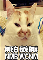 һ�������¥¥è�����ͼƬ