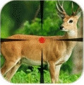 Deer Hunter Game(��¹���˰�׿��)