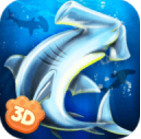 Hammerhead Shark Simulator 3D(��ͷ��ģ��3D��׿��)