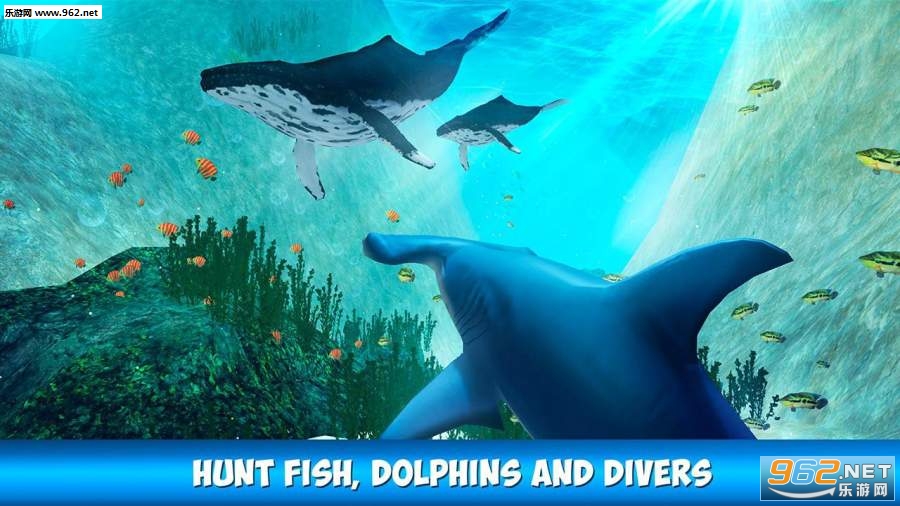 Hammerhead Shark Simulator 3D(��ͷ��ģ��3D��׿��)v1.0.0��ͼ0