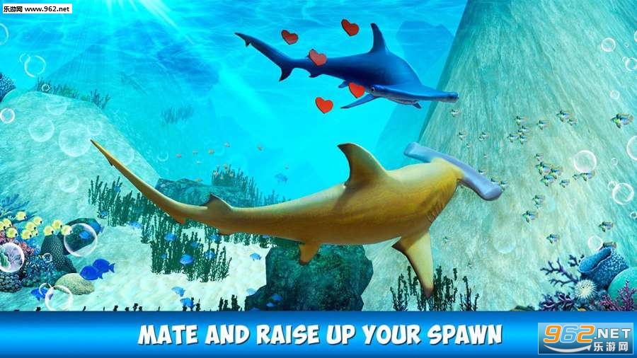 Hammerhead Shark Simulator 3D(��ͷ��ģ��3D��׿��)v1.0.0��ͼ2