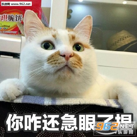 ����è¥¥��Ҳû�����±�����˼�����ͼ1