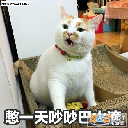 ����è¥¥��Ҳû�����±�����˼�����ͼ2