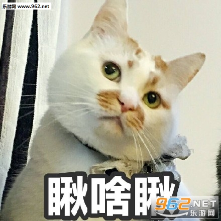 ΢������è¥¥����ͼƬ�ϼ��������ͼ1