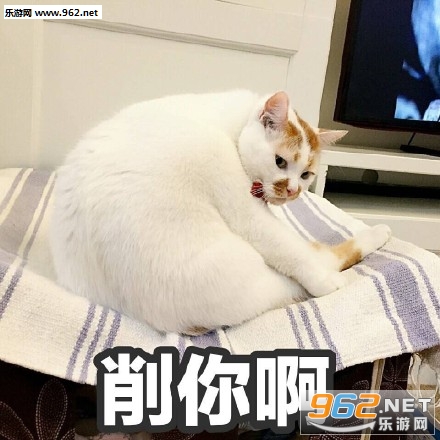 ΢������è¥¥����ͼƬ�ϼ��������ͼ3