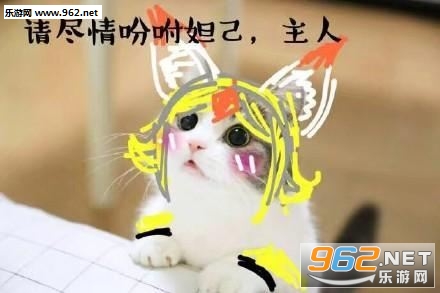 ������ҫè�������ͼ0
