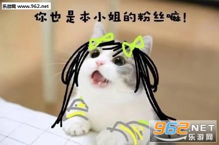 ������ҫè�������ͼ2