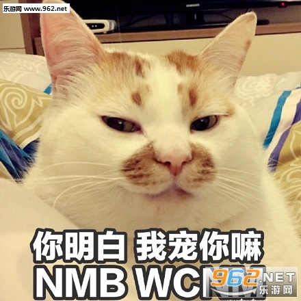΢������è¥¥�����������ˮӡ���ͼ0