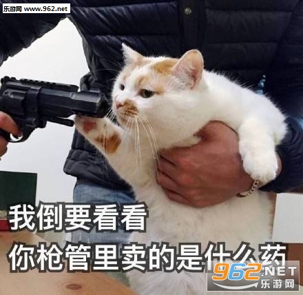 ΢������è¥¥�����������ˮӡ���ͼ1